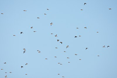 BUITEN BEELD Foto: 58802
