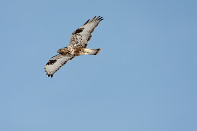BUITEN BEELD Foto: 58815