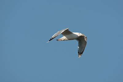 BUITEN BEELD Foto: 58826