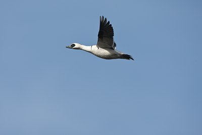 BUITEN BEELD Foto: 58831