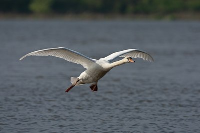BUITEN BEELD Foto: 58874
