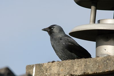 BUITEN BEELD Foto: 58898