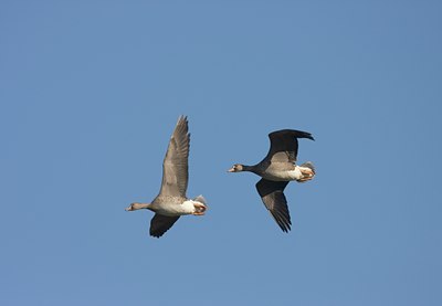 BUITEN BEELD Foto: 58899