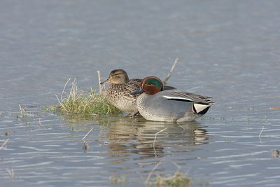 BUITEN BEELD Foto: 58905