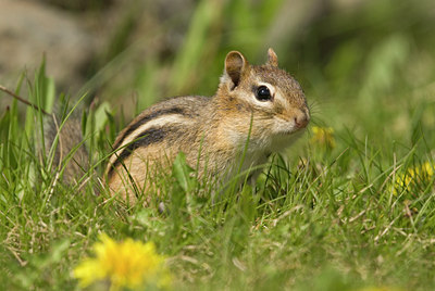 BUITEN BEELD Foto: 58970