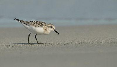 BUITEN BEELD Foto: 5033