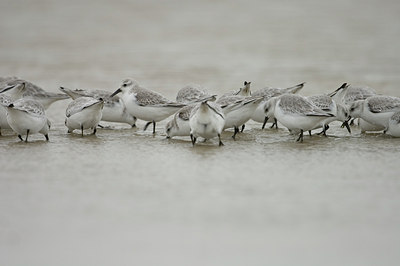 BUITEN BEELD Foto: 5036