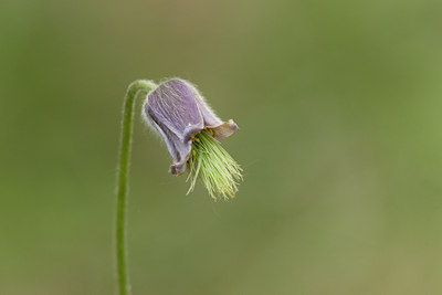 BUITEN BEELD Foto: 5049