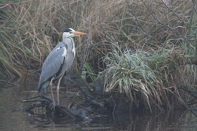 BUITEN BEELD Foto: 5116