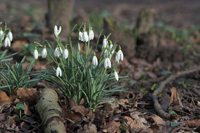 BUITEN BEELD Foto: 5134
