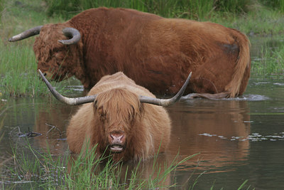 BUITEN BEELD Foto: 5165