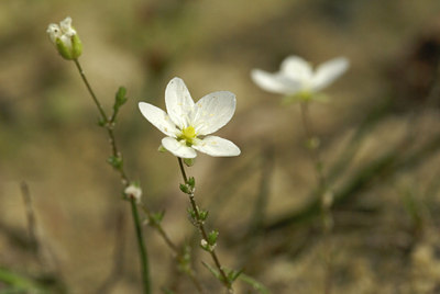 BUITEN BEELD Foto: 5166