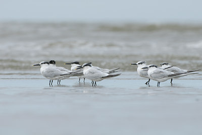 BUITEN BEELD Foto: 5171