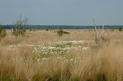 BUITEN BEELD Foto: 5214