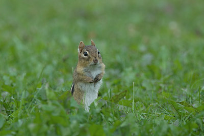 BUITEN BEELD Foto: 5387