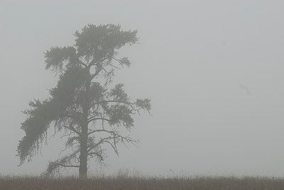 BUITEN BEELD Foto: 5527