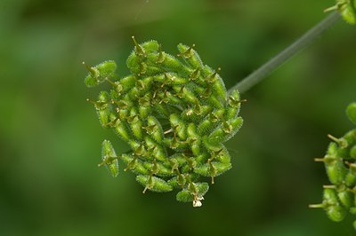 BUITEN BEELD Foto: 5652