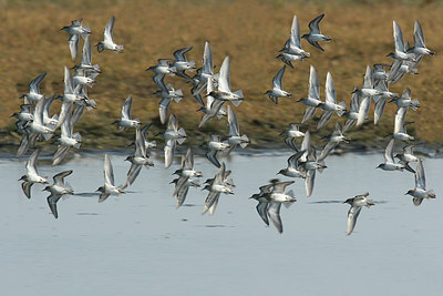 BUITEN BEELD Foto: 5656