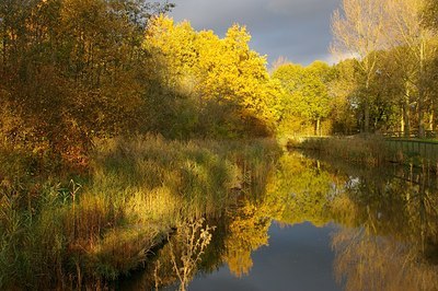 BUITEN BEELD Foto: 5674