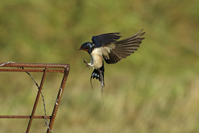 BUITEN BEELD Foto: 5778