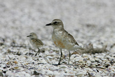 BUITEN BEELD Foto: 5795