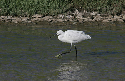 BUITEN BEELD Foto: 5807