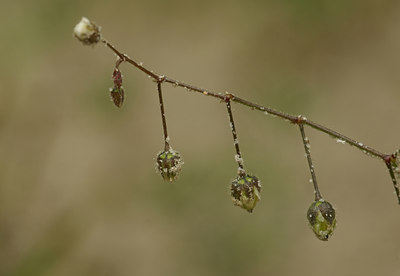 BUITEN BEELD Foto: 5952