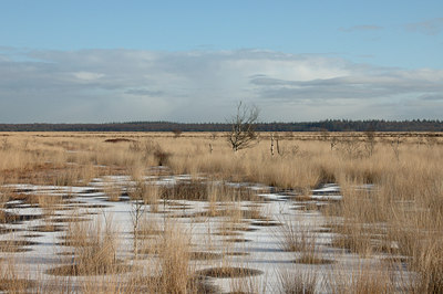 BUITEN BEELD Foto: 5974