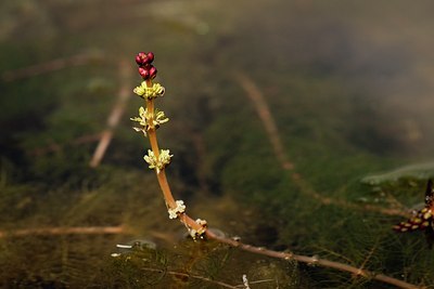 BUITEN BEELD Foto: 59070