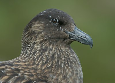 BUITEN BEELD Foto: 59219