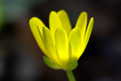 BUITEN BEELD Foto: 59256