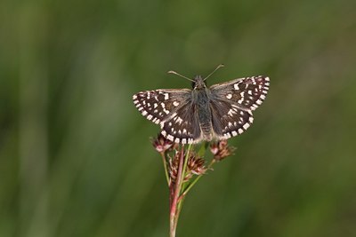 BUITEN BEELD Foto: 59330