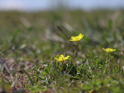 BUITEN BEELD Foto: 59467