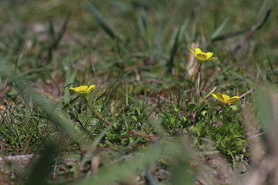 BUITEN BEELD Foto: 59468