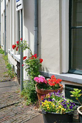 BUITEN BEELD Foto: 59479