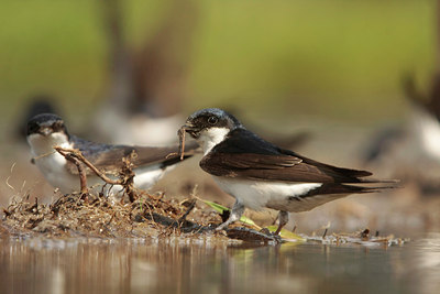 BUITEN BEELD Foto: 59507