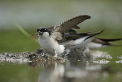 BUITEN BEELD Foto: 59512