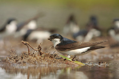 BUITEN BEELD Foto: 59513