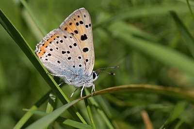 BUITEN BEELD Foto: 59519