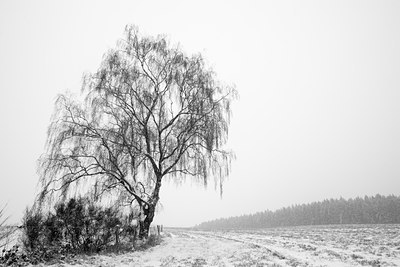 BUITEN BEELD Foto: 59525