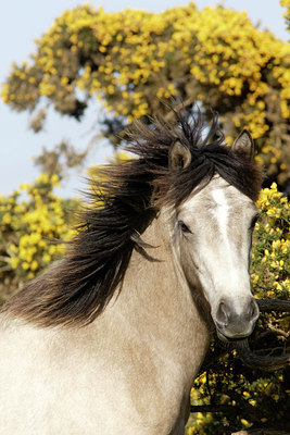 BUITEN BEELD Foto: 59623