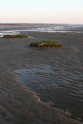 BUITEN BEELD Foto: 59726