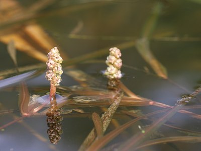 BUITEN BEELD Foto: 59727