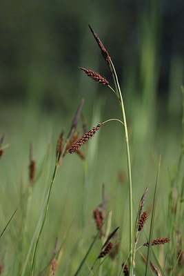BUITEN BEELD Foto: 59741