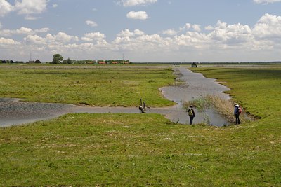 BUITEN BEELD Foto: 59744
