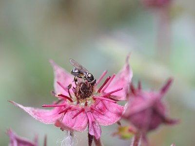 BUITEN BEELD Foto: 59747