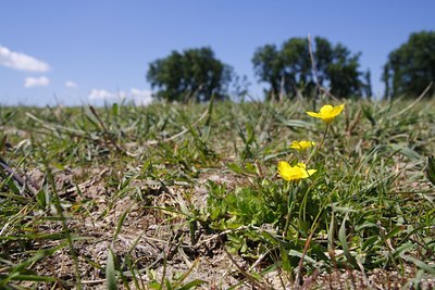 BUITEN BEELD Foto: 59760
