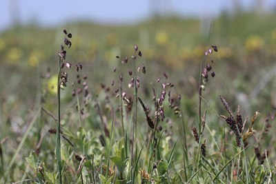 BUITEN BEELD Foto: 59782