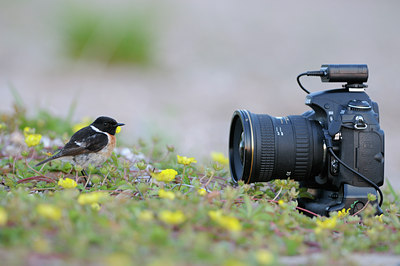 BUITEN BEELD Foto: 59855