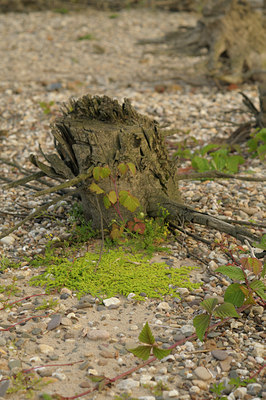 BUITEN BEELD Foto: 59982